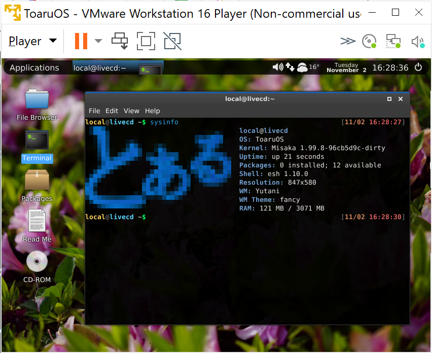 VMware screenshot